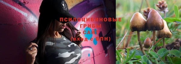 спиды Беломорск