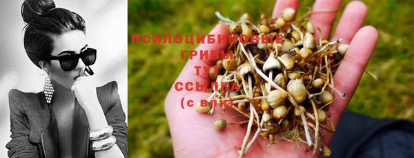 спиды Беломорск