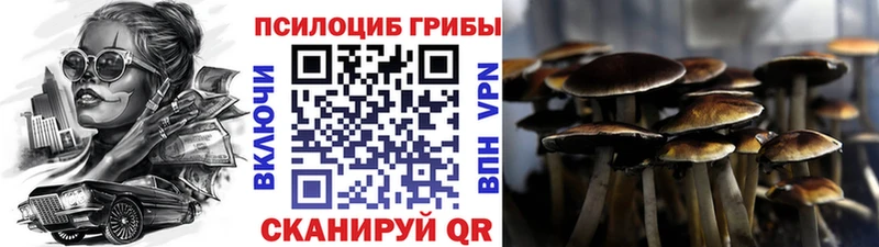 Галлюциногенные грибы MAGIC MUSHROOMS Гулькевичи