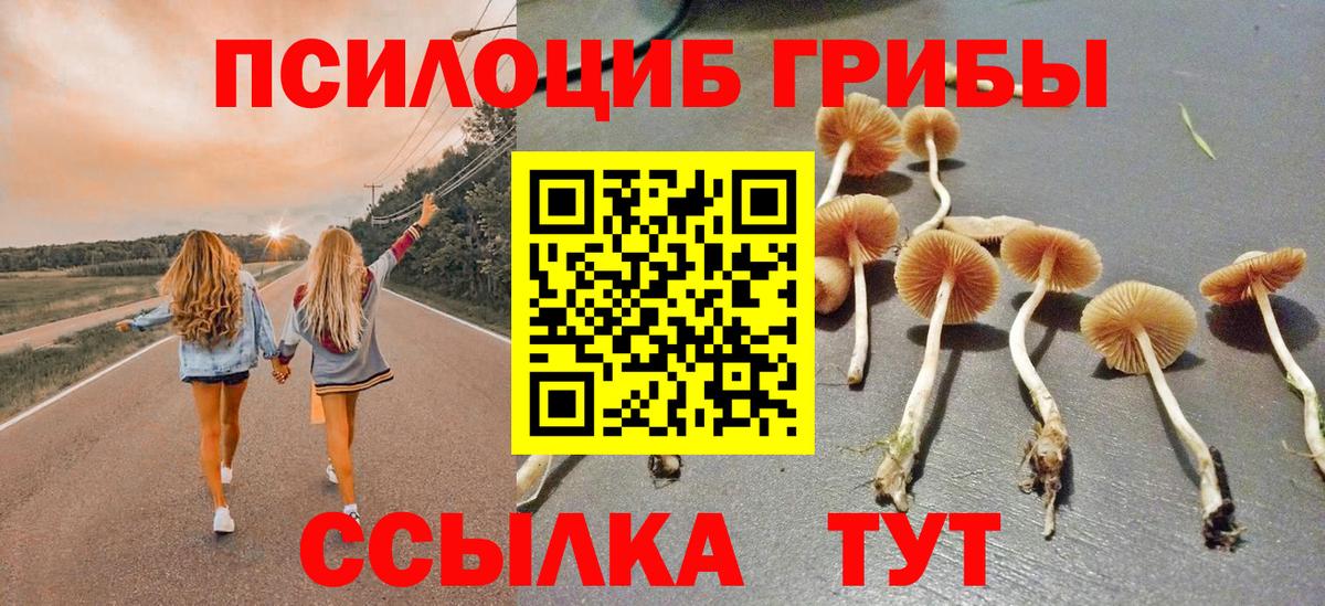 Галлюциногенные грибы прущие грибы  Галлюциногенные грибы Psilocybe  Гулькевичи  Вход с VPN 