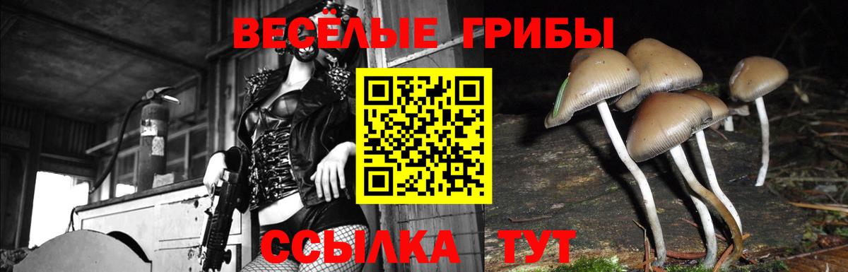 Псилоцибиновые грибы мухоморы Гулькевичи