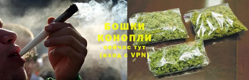 купить   Гулькевичи  Канабис OG Kush 